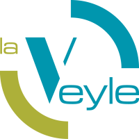 logo_laVeyle_quadri